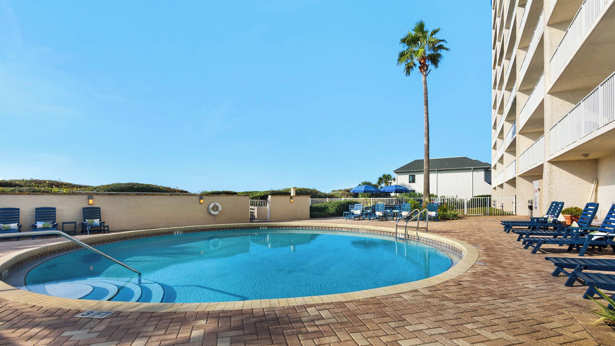 A swimming pool with lounge chairs and a palm tree.