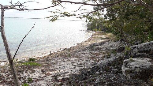 NATURE LOVERS PARADISE ON THE BEACH.