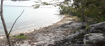 NATURE LOVERS PARADISE ON THE BEACH.