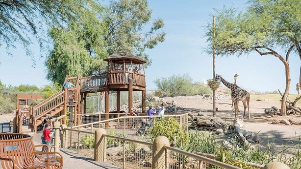 A wooden observation tower with a balcony, surrounded by a fenced area with benches and a giraffe enclosure. - Quiet Retreat w/ AC | Chelsea Park Casita (Mesa)