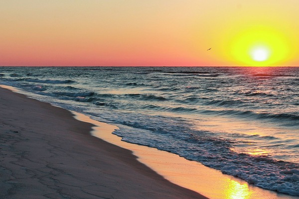 Nära stranden