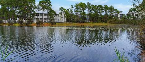 A calm lake with a reflection of buildings and trees, surrounded by greenery.
