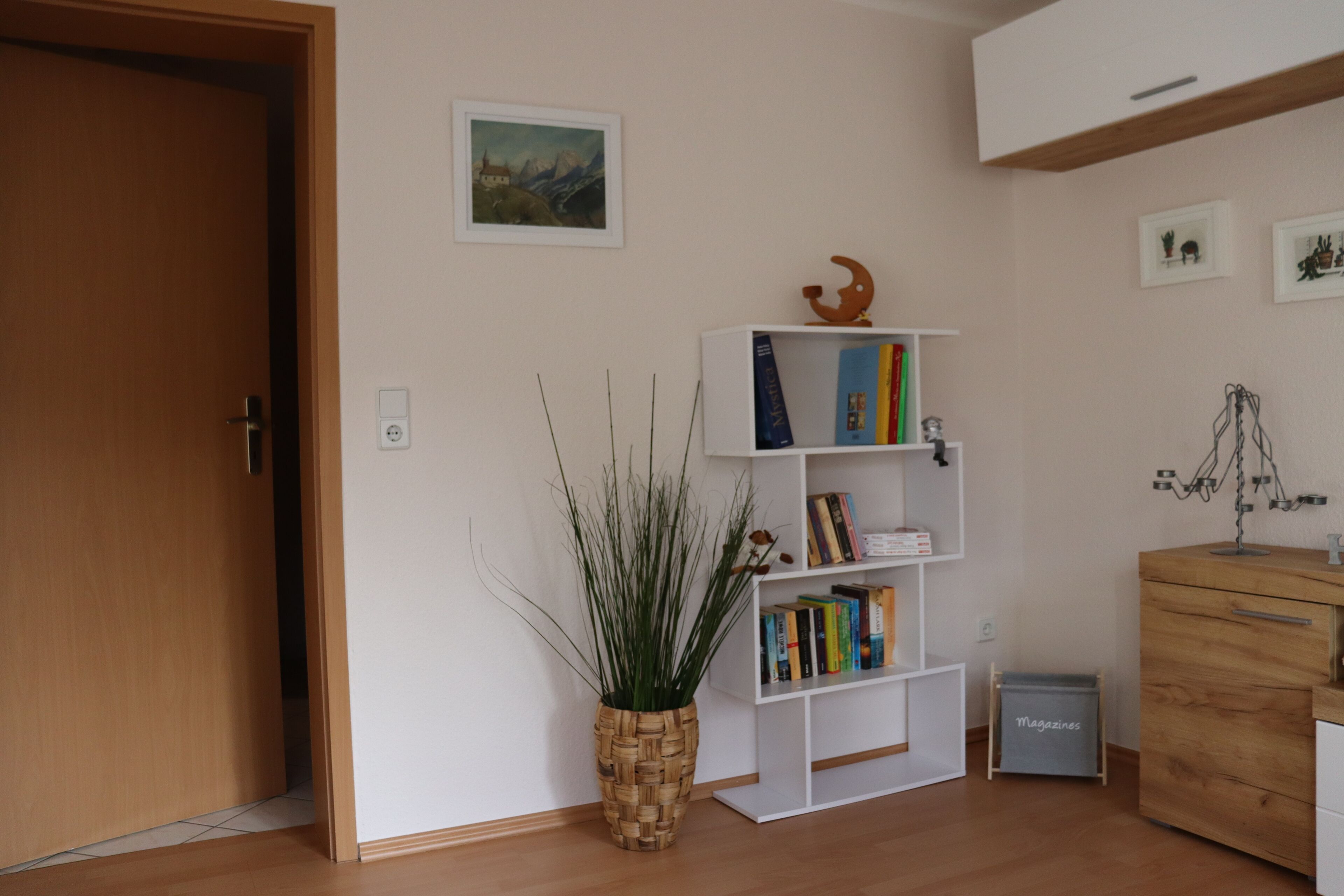 Ein Zimmer mit Holztür, einem Bücherregal mit Büchern, einer Pflanze und einem kleinen Schrank.