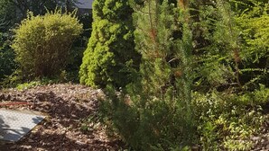 A two-story building with a gabled roof, surrounded by dense greenery and a well-maintained garden. - New apartment in the middle of vineyards (Coswig)