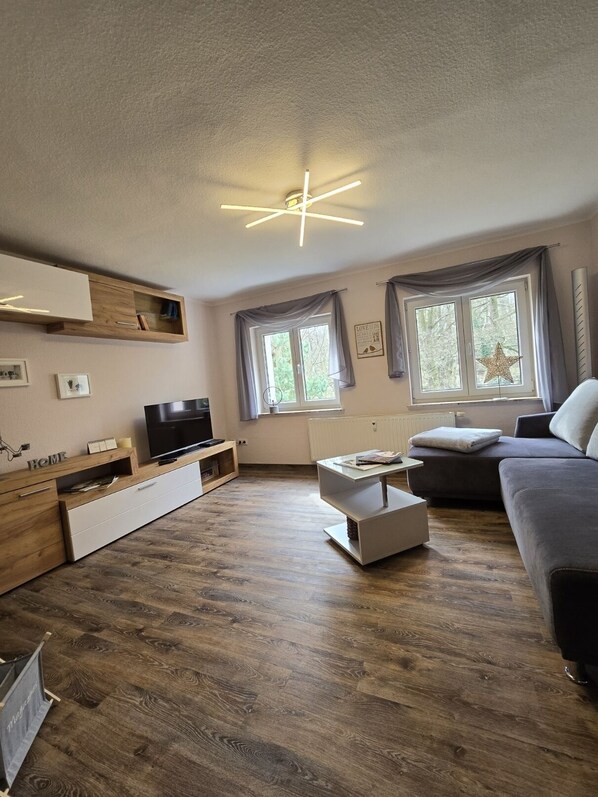 TV, DVD player, books, video library