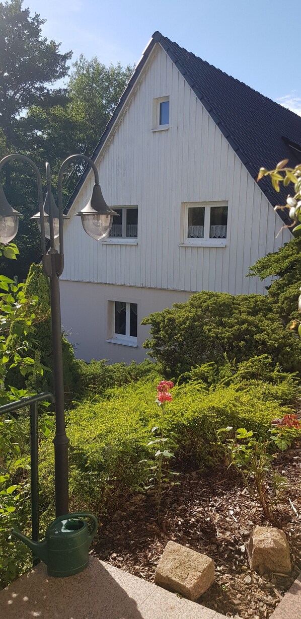 Property grounds - New apartment in the middle of vineyards (Coswig)