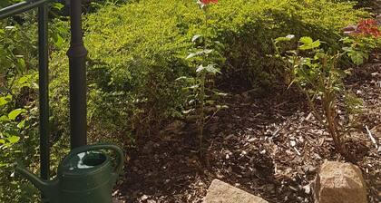 Apartment "Heimatliebe" - Neue Ferienwohnung inmitten von Weinbergen