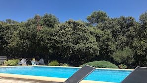 Una piscina con dos sillas de descanso y un banco, rodeada de árboles.