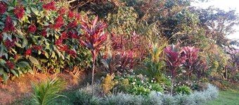 Apartment with magnificent vista and the best temperature