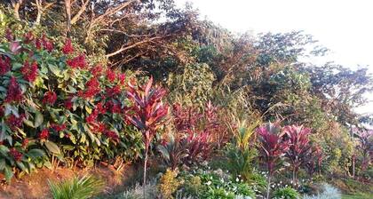 Apartamento con magnificas vistas y la mejor temperatura.