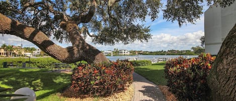 Parco della struttura