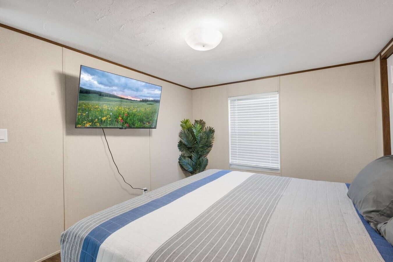 A bedroom with a bed, a TV mounted on the wall, a window with blinds, and a plant.