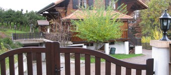 Spacious chalet with terrace