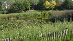 Un parc paisible avec un étang, une végétation luxuriante et le clocher d’une église qui se dresse au loin.