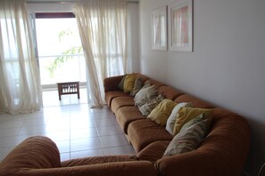 Televisio, DVD-soitin