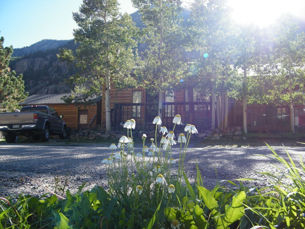 Summertime in the Mountains