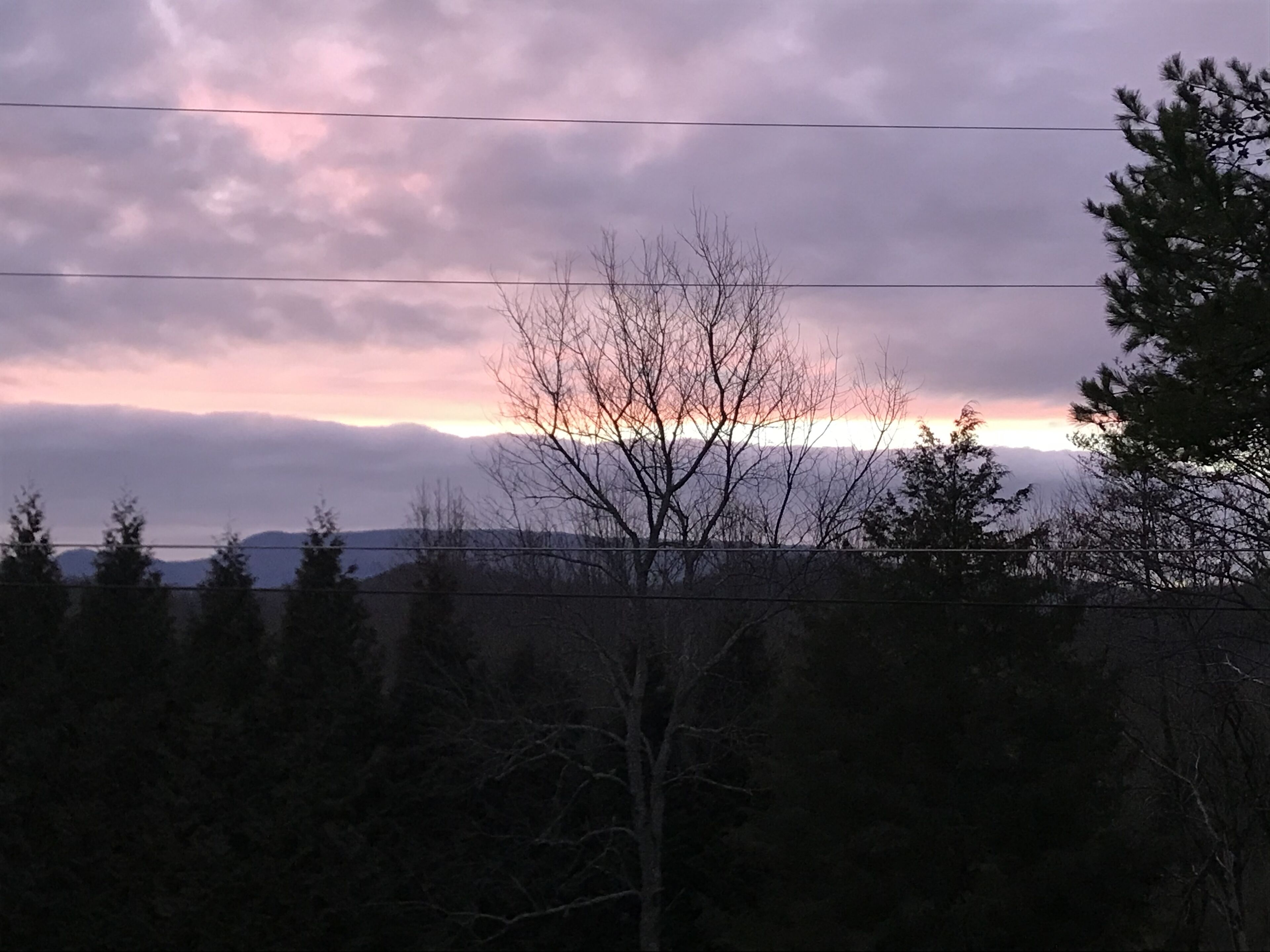 Ett landskap med en solnedgång, träd och berg i bakgrunden.