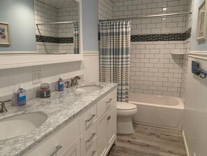Hair dryer, soap, shampoo, toilet paper