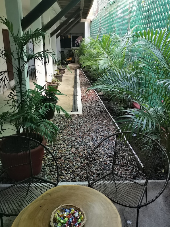 Terraza o patio