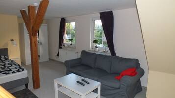 Télévision à écran plat, jeux vidéo, livres, vidéothÚque