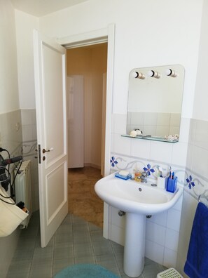 Combined shower/bathtub, hair dryer, bidet, towels