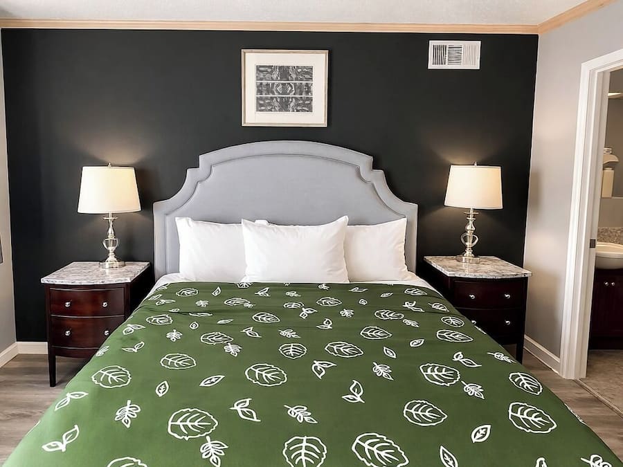 Room, 1 King Bed, Non Smoking | Desk, free WiFi