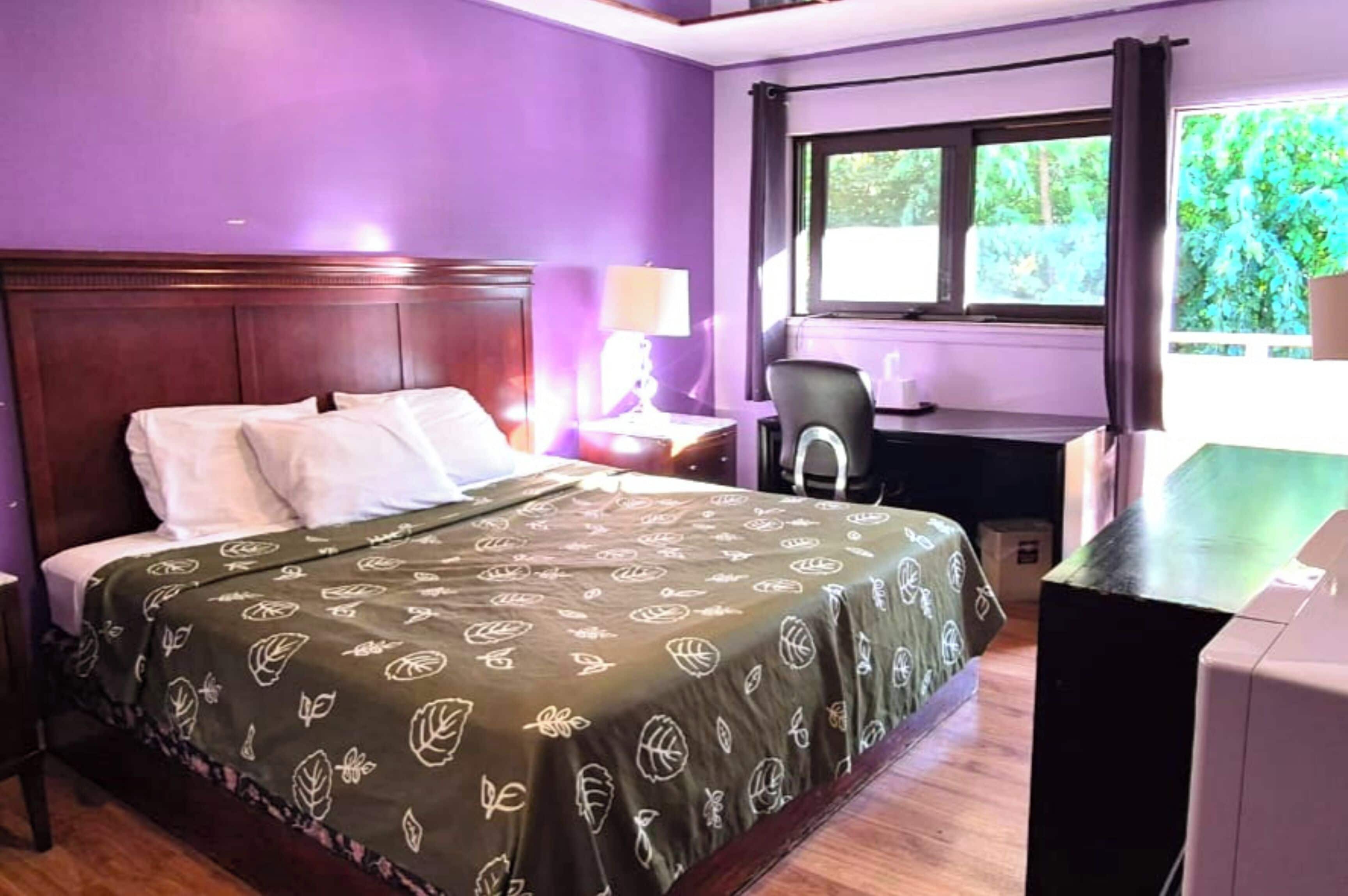 Phòng, 1 giường cỡ king, không hút thuốc | Bàn, truy cập Internet không dây miễn phí 