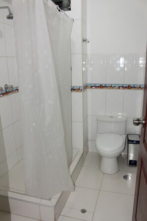 シャワー、タオル、石鹸、トイレットペーパー