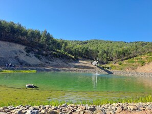 A natural landscape with a pond, rocks, and trees. - Hotel Square (Serta)