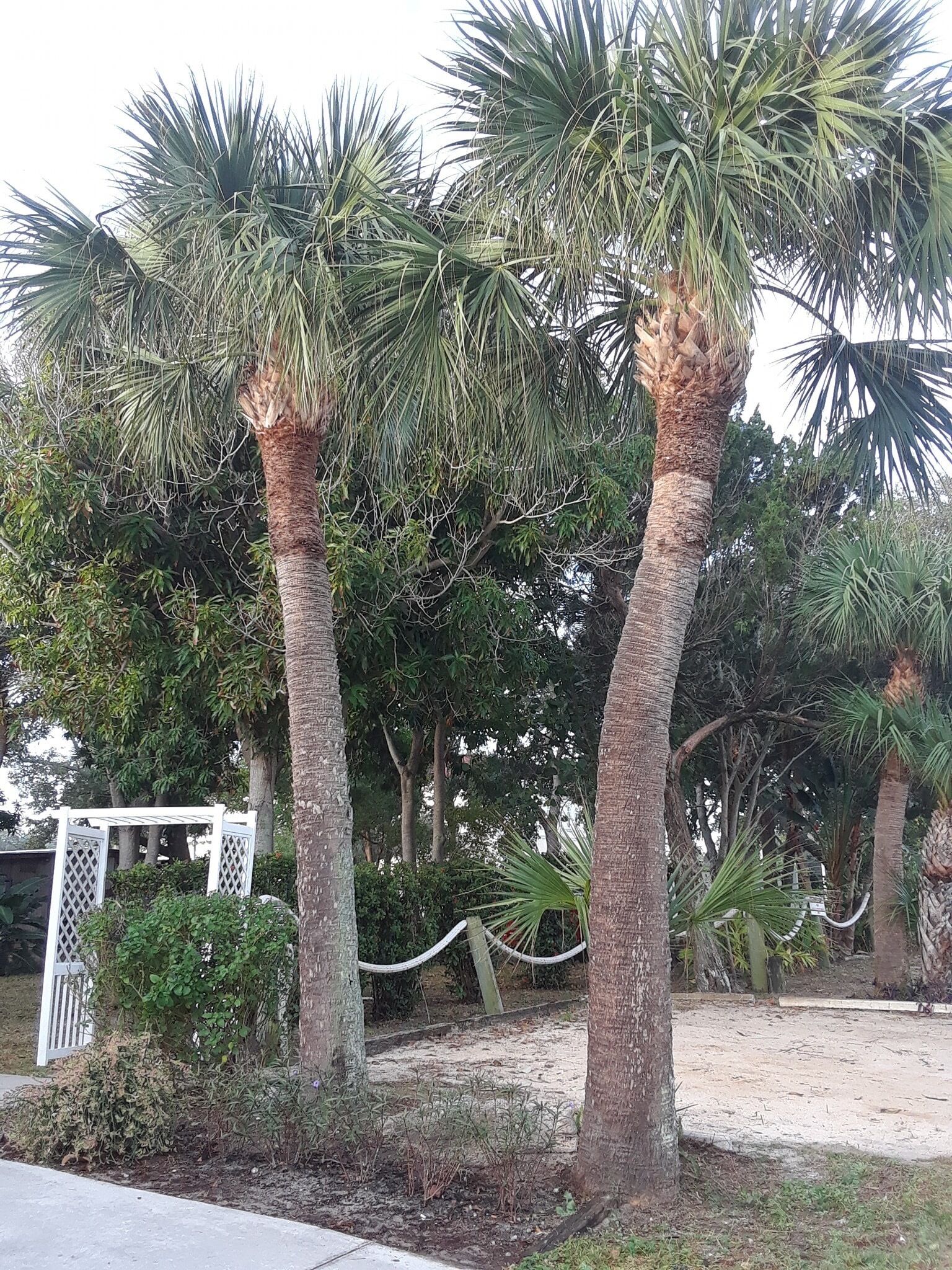 Oasis on the Space Coast -  3 bed 2 Bath Villa 3 blocks to the Beach