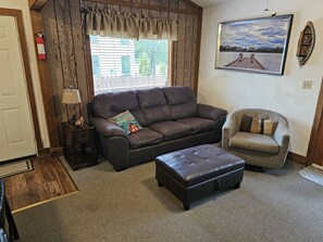 Smart TV, fireplace, DVD player, books