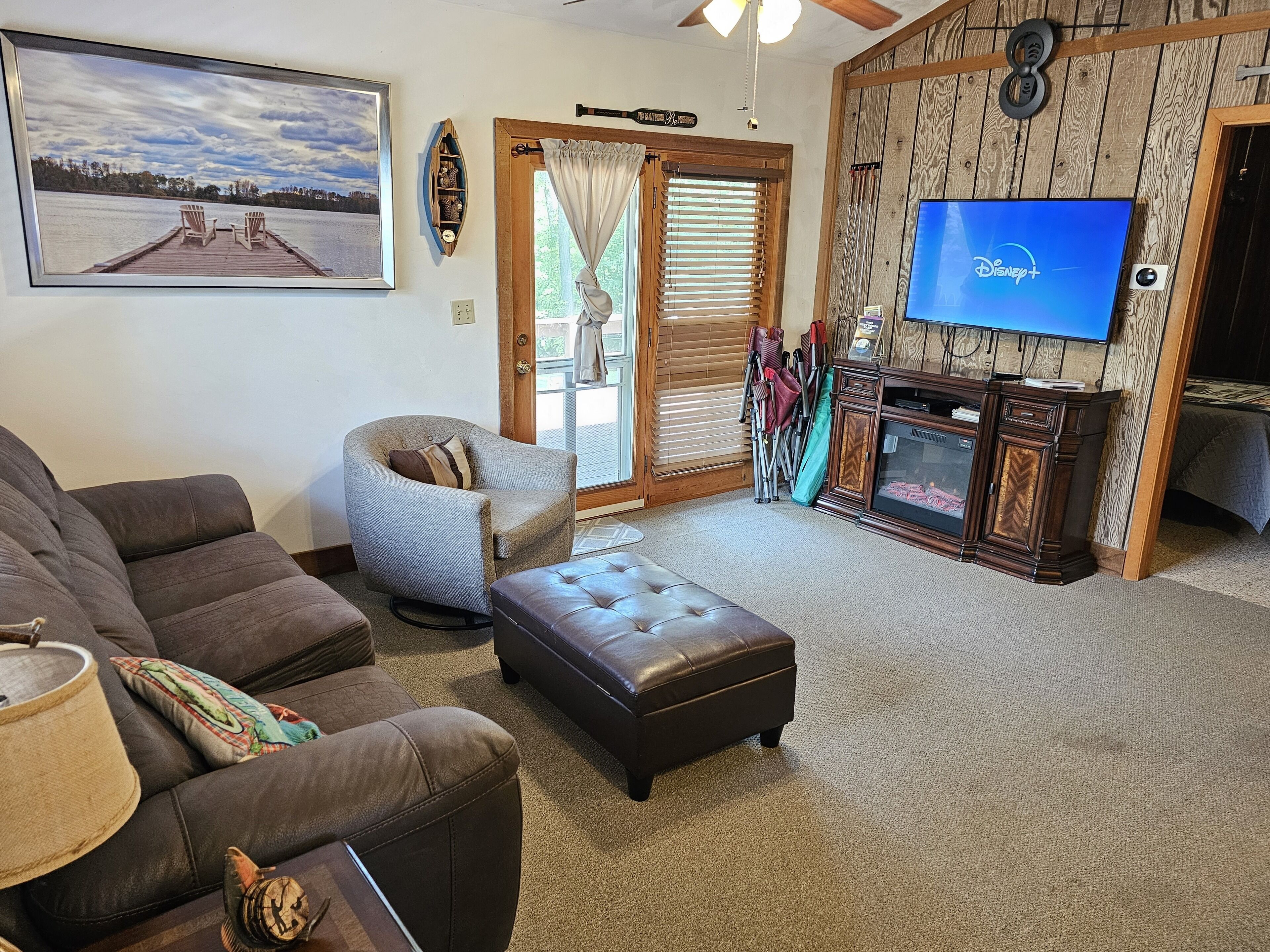 Smart TV, chimenea, reproductor de DVD y libros 