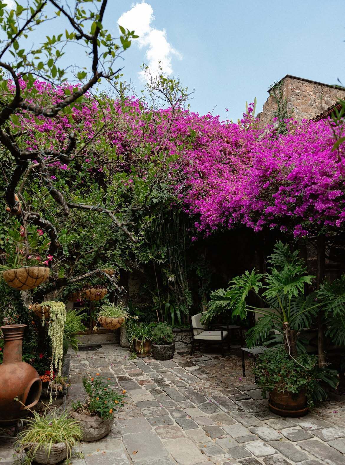 A courtyard with stone flooring, potted plants, and a chair.