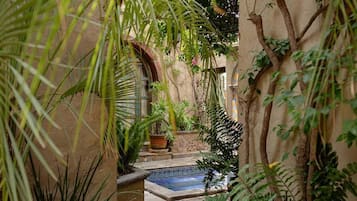Jardim