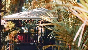 A covered outdoor seating area with a tiled roof, surrounded by palm trees and plants. - Hotel Casa Vito (Cahuita)
