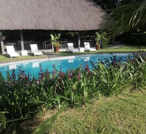A swimming pool with white lounge chairs and a thatched-roof structure in the background.