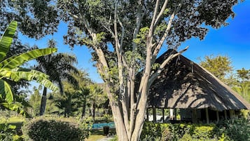 Jardín