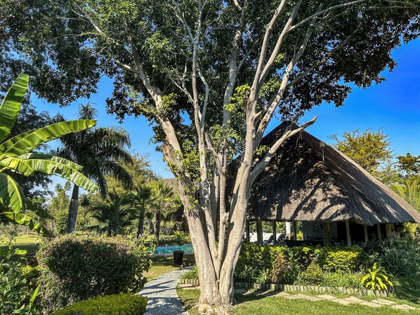Garden - Sunbirds Lodge Chobe (Kasane)