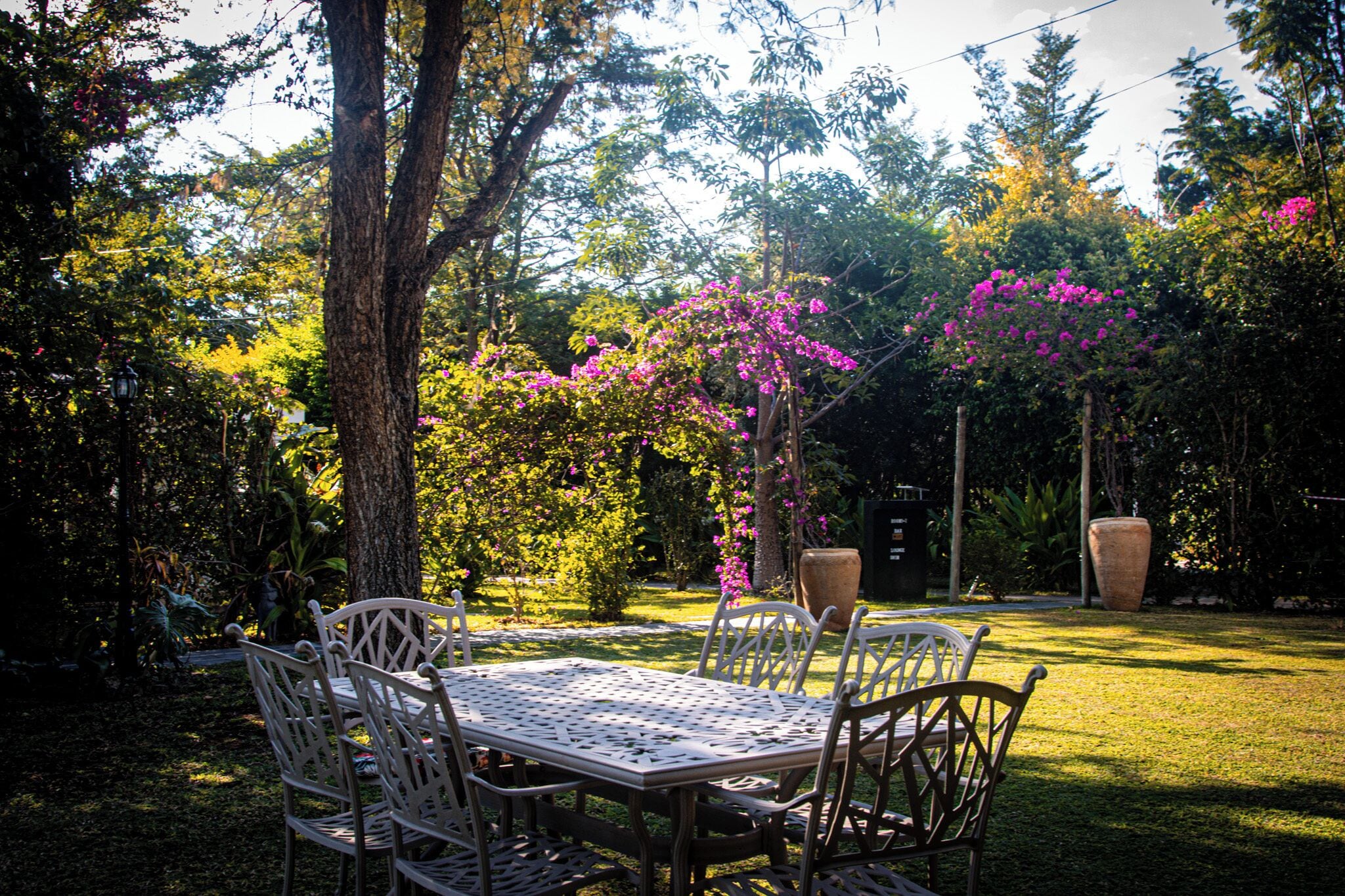 A garden with a table and chairs, surrounded by trees and flowering plants.