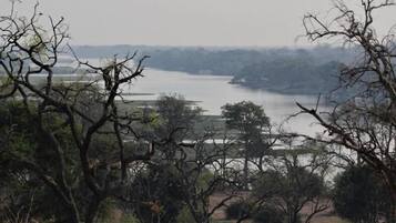 A river with trees in the foreground and a distant view of a bridge.