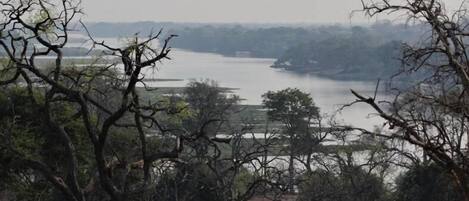 A river with trees in the foreground and a distant view of a bridge.