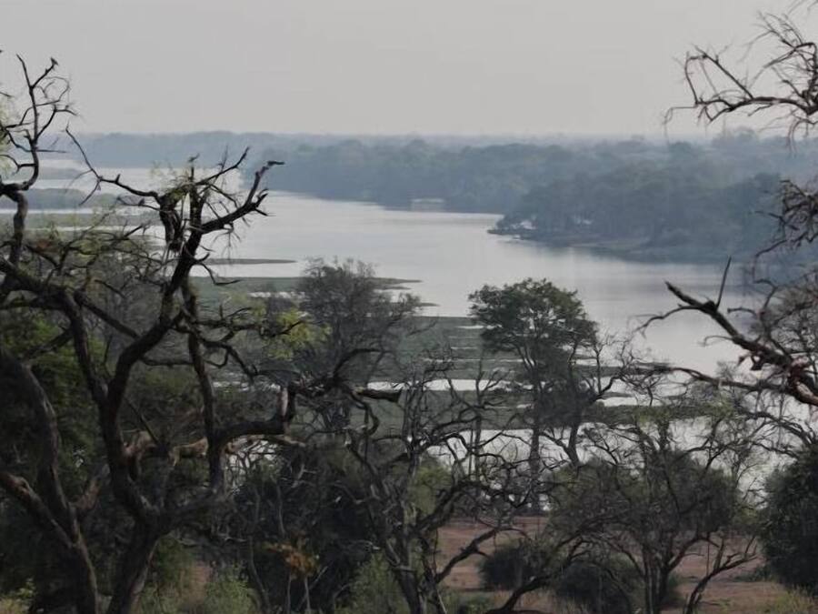 A river with trees in the foreground and a distant view of a bridge.