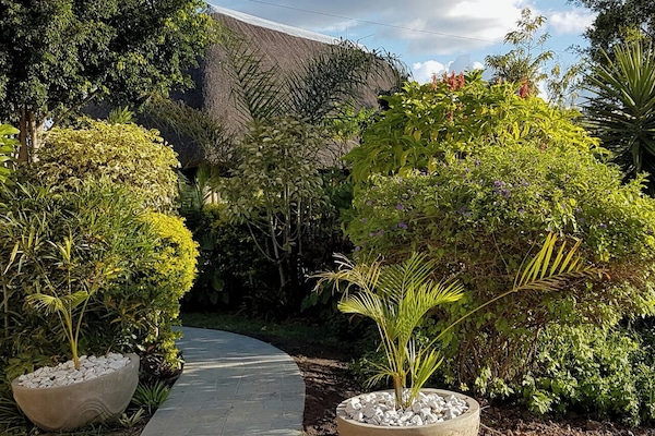 Vista al jardín