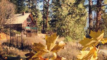 A cabin surrounded by tall trees and autumn leaves.