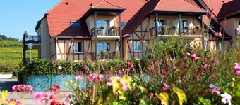 Appart Cosy Le Long de la Route des Vins