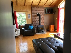 TV, DVD player, books, video library