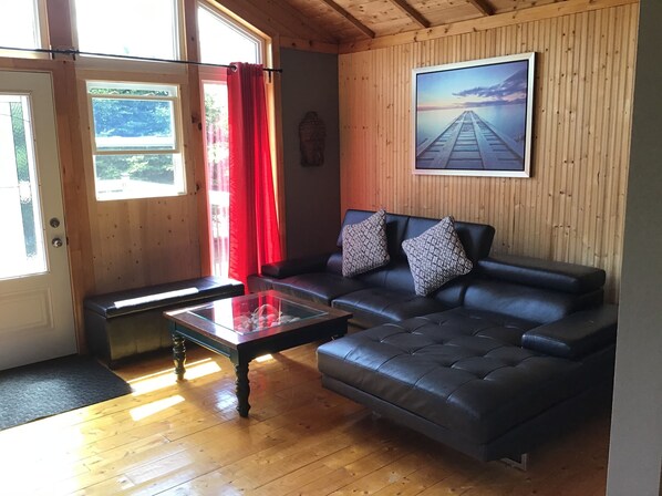 TV, DVD player, books, video library