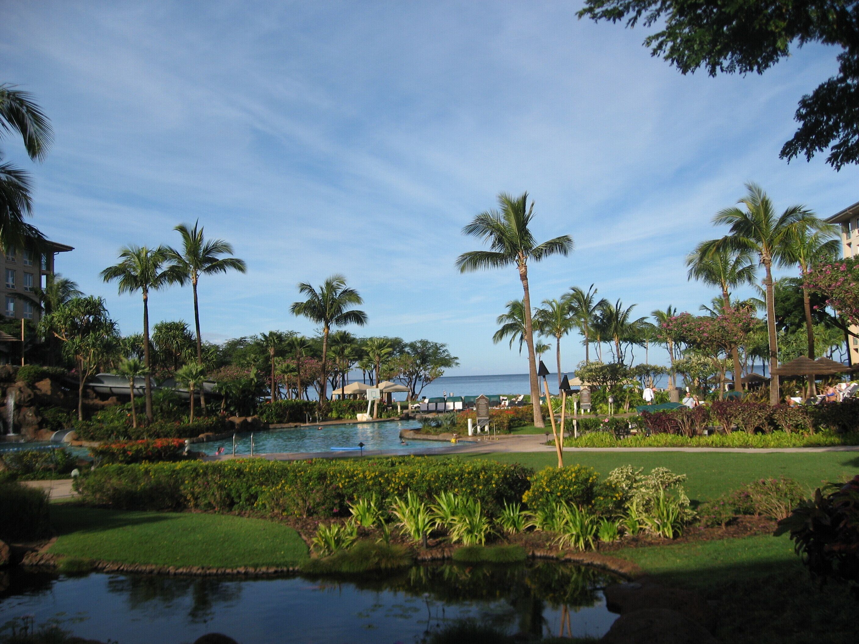 Una piscina al aire libre, una piscina climatizada