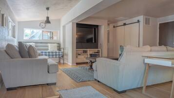 Smart TV, fireplace, books