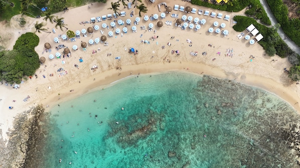 Plage à proximité, chaises longues, serviettes de plage